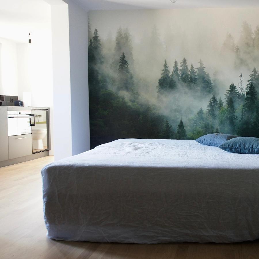 Ni Fravi Holiday Apartments, Interlaken West Екстер'єр фото
